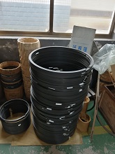 Seal Ring